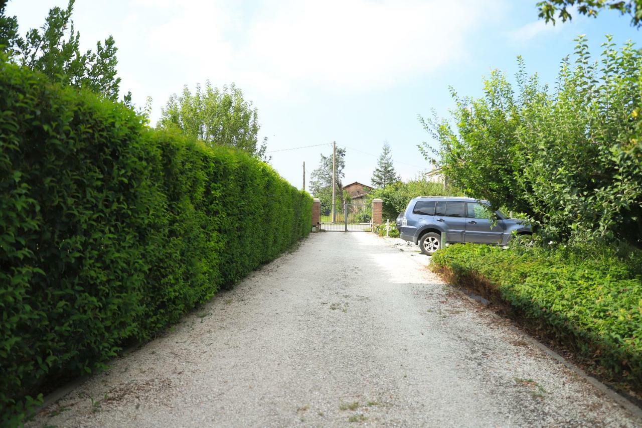 B&B Torricella San Giorgio di Piano Exteriér fotografie